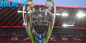 Lộ trình “đại chiến” tới chung kết Champions League của 6 đại diện Anh
