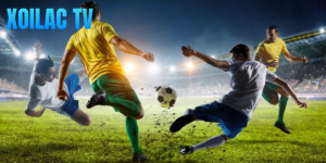 Số Cú Sút Vs Hiệu Quả Ghi Bàn – Đánh Giá Đội Bóng Chuẩn Xác